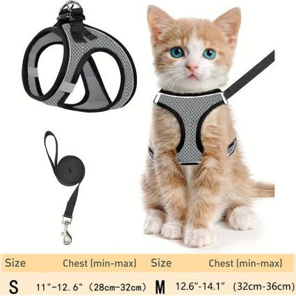 Arnes Gatito Talla S